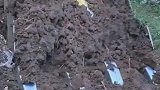 到底是谁扔的，吓我一跳
