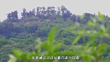 贵州一山丘常年寸草不生，发现铜锅古尸，专家：他们天赋异能！