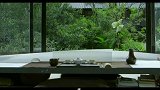 为什么这纸做的铠甲这么神奇