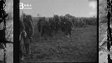 一战珍贵录像，行军打仗都是靠步行，可以看得出来他们有多劳累