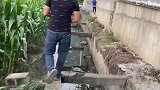 给我一个完美童年