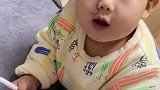 狗：既当保姆，又做玩伴，责任重大