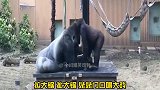 原来，爸爸的私房钱，是妈妈的私人财产