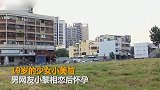 【台湾】19岁女孩产子后丢弃荒草地 弃婴被野狗啃成白骨