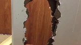 拆家界的“战斗狗”！二哈把门上挖出大窟窿，精装房拆成清水房