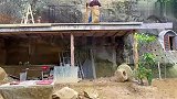 悬崖凿石屋，粉丝参观，二楼卧室门洞！