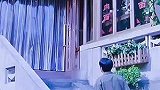 子秋跟踪尖尖却被送进警察局 子秋凌霄回国温馨的一家人又团聚了