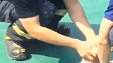 消防犬从小就被强迫锻炼腹肌，狗狗：你们给我等着！