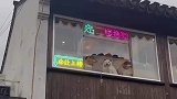 狗狗趴在窗户上，吸引顾客