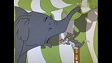 猫和老鼠：汤姆真是胆子大，连大象都敢惹，结局可想而知
