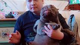 敢打我的狗宝宝，让你试一下眩晕的感觉