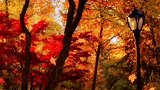 人间忽晚，山河已秋。愿所有的美好，都如你所愿。美景如画