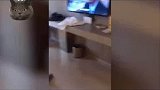 酒店人员自己都整懵了
