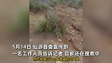 福建8岁男童爬山失联11天，救援队网格式搜救未果，官方回应
