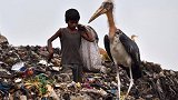 印度最大垃圾场：面积39公顷每天收500吨垃圾，还有人住这里