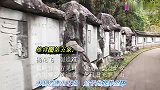 唐玄宗在这里为杨贵妃种了一株槐树，如今树龄已有1264岁！
