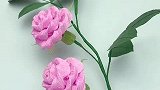 来吧！跟我一起拧花吧