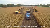 为啥美国粮食出口第一？看到翻地机器瞬间明白，不愧是科技强国！