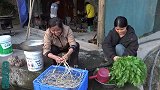 湖南大山野菜宴，都是纯天然无污染美食，媳妇都说好吃，超级下饭