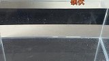 没想到漂亮的结论