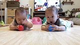 这对双胞胎宝宝太乖了，竟然不抢玩具！喜欢！