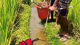 用弓箭捕鱼，这也太牛了
