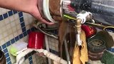净水器的过滤网竟在这么脏，难以想象，不干不净真的喝了会没病！
