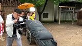 只要动作够快，假发就追不上我