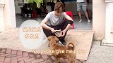 鹿晗片场喂小狗真是爱心满满