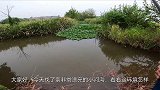 在湖南野钓，小河沟交叉口，七星漂挂蚯蚓，连杆上鲮鱼？