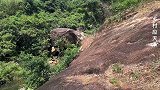 电白山村网红景点，纯天然山泉水美景，形成了美丽的瀑布