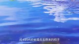 我尊重你的决定！