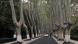 那个陪你一起哭一起笑的好朋友，你还记得吗？