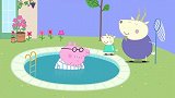 小猪佩奇：猪爸爸这个大笨蛋，走路都能掉水池里，要被嘲笑了