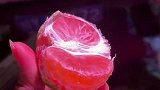 被橘子美颜”效果欺骗，灯光的驱使下买了一斤橘子