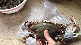太豪了，大螃蟹，九节虾，花蛤，一起蒸着吃，真是享受啊