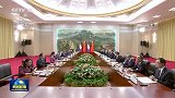 习近平会见柬埔寨首相洪玛奈