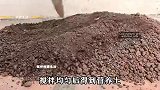 农村小伙用普通的塑料瓶，就种植出吃不完的小葱，摘完一茬又一茬