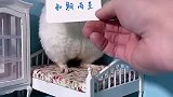 各位，好运如期而至...