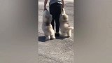 像极了小时候犯错的我！不乖就要被抓去打屁股喔