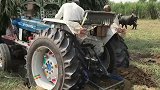 印度拖拉机超载陷泥坑，5台拖拉机齐力救援，场面太壮观了！