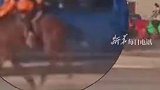 赛马途中马鞍后移致马儿受惊，小骑手与皮卡配合上演“神级救援”。网友：马背上的民族，有勇有谋！