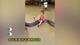 越南的小孩子把蛇当马骑  把蛇玩的怀疑人生