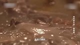 味道：彝族美食松茸鸡汤，汤鲜味美直击味蕾，是彝族人的幸福味道