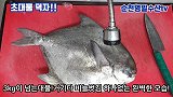 6斤大鲳鱼直接做刺身，韩国大厨全程秀刀功，强迫症看着真爽
