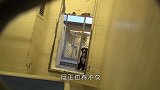 狗狗已经失去信心，却在收容期限最后一刻被领养，兴奋地到处炫耀