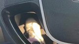 剁椒鱼头开错车道，导致后方骑行者无法通过