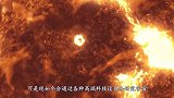 我国天眼发现“新地球”，有水有植物，科学家却警告：不能去？