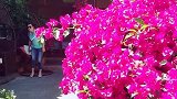 所谓的花园民宿，应该就是这样的吧。