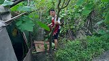 超小厨做酸辣猪肝盖饭，四川家常做法，香辣嫩滑超下饭，吃过瘾